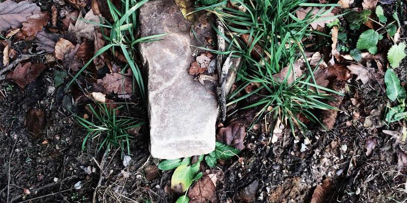 TXL13:重新定义快递服务,如何实现极速、可靠的物流配送