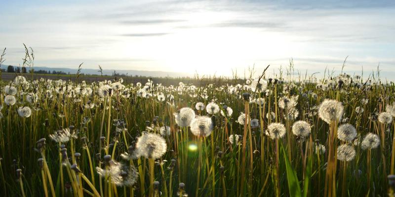 TXL25: 优化快速交付与物流效率的全面解决方案