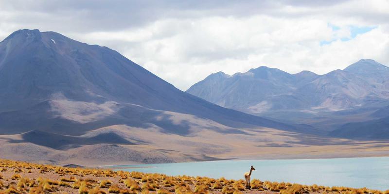 TXL32 Shipping: Revolutionizing Parcel Services with Fast Delivery Solutions