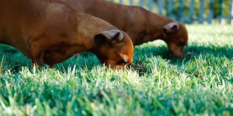 TXL33: Your Reliable Parcel and Courier Shipping Solution