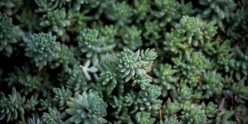 TXL4：重塑全球货运与供应链的下一代智能航运解决方案