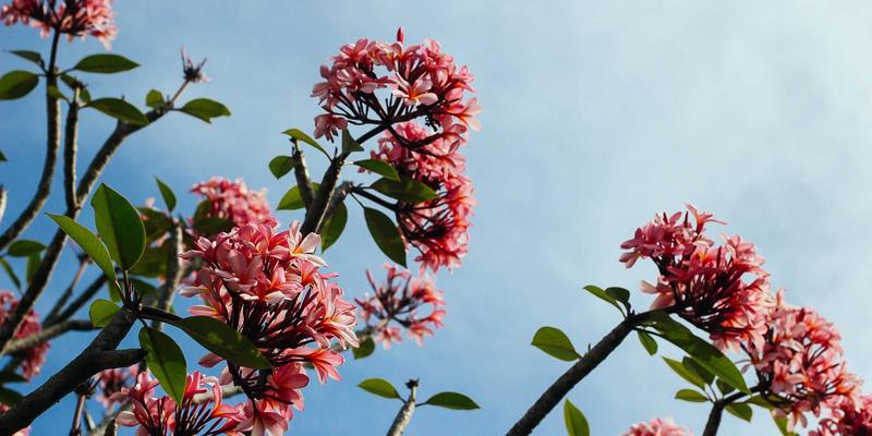 TXL64：革新国际航运与快递物流的智能解决方案