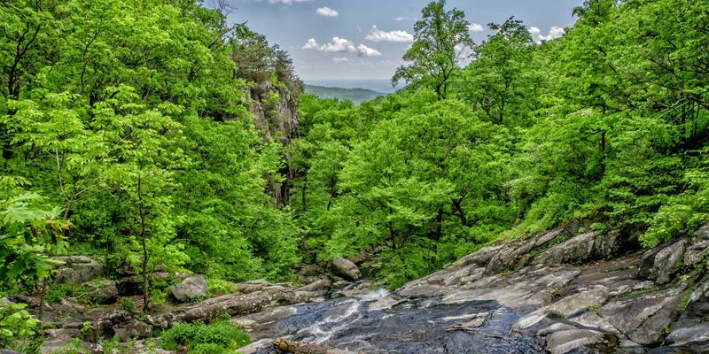 TXL69：重新定义现代货运物流的快速交付新标准