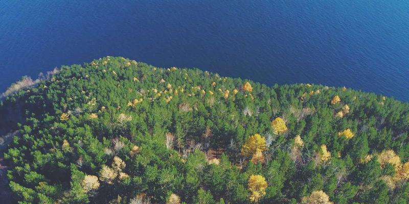 TXL82：揭秘现代物流如何通过技术创新实现极速包裹递送