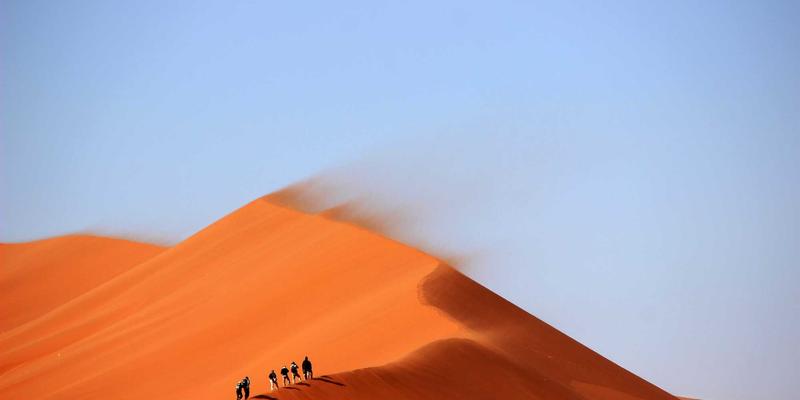 TXL与低代码平台融合：快速构建智能parcel与freight供应链规则引擎