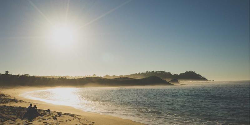 TXL与数字孪生融合：重塑货运、包裹与快递的动态物流网络