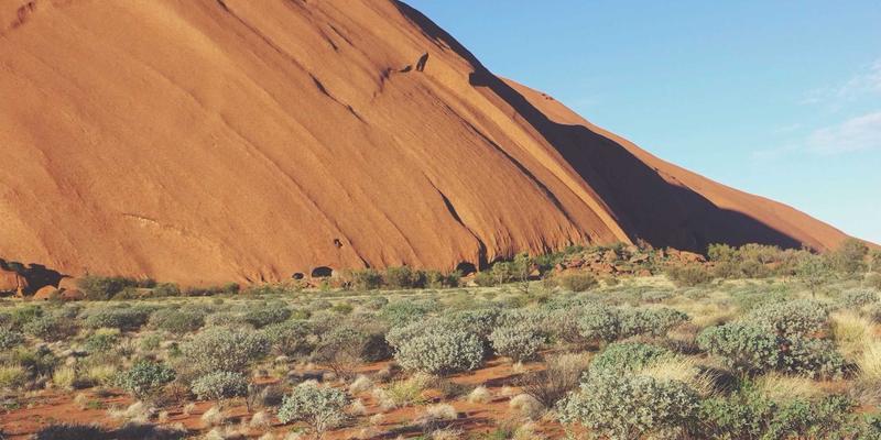 TXL前景：货运、物流与快递交付的融合与未来趋势