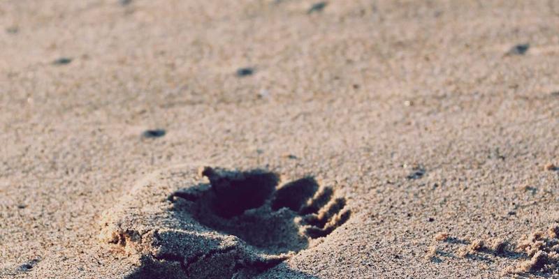 TXL如何革新物流路径优化：破解复杂约束与动态规划算法实战