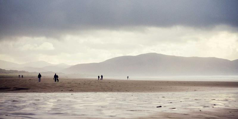 TXL技巧全解析:如何通过专业物流策略提升Courier与Parcel递送效率