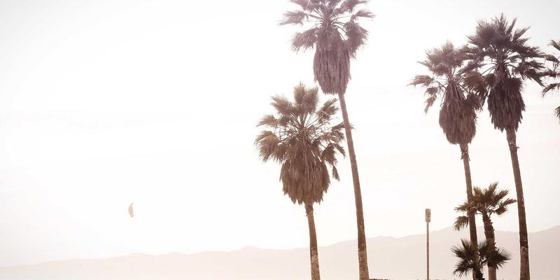 TXL技术如何重塑多语言物流文档处理：实现全球供应链与货运协同的语义统一