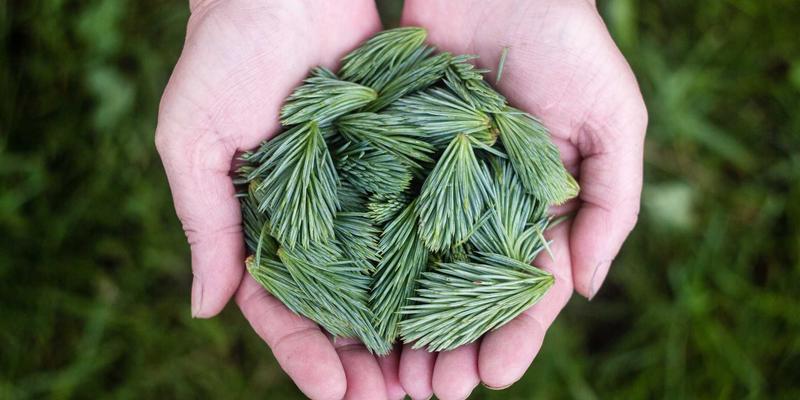 TXL格式文件详解：如何高效创建、编辑与转换以优化您的供应链与快递交付流程