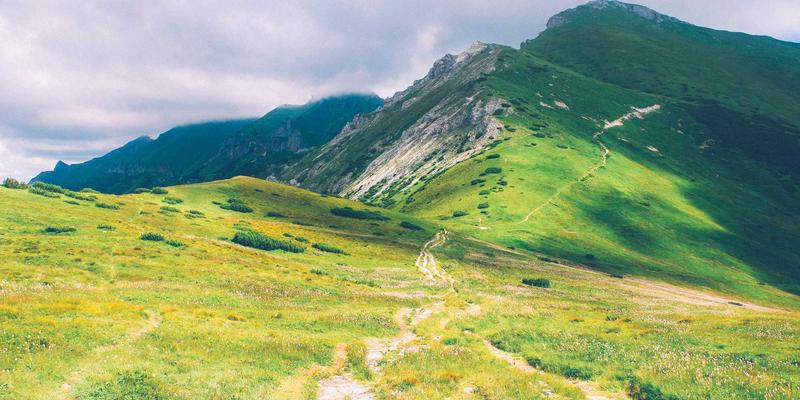 代码物流革命：如何用TXL工具实现编程语言的快速交付与无缝转换