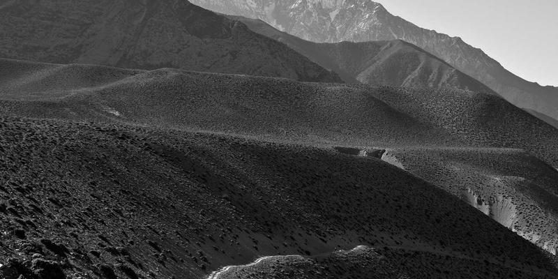 供应链金融科技革命：TXL如何通过交易日志分析实现货运实时风控与快速交付