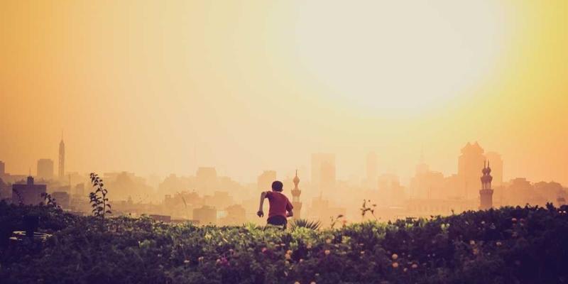 基于TXL的物流领域特定语言设计：如何用parcel与fast delivery规则提升业务效率