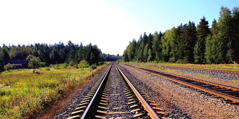 如何利用TXL构建自定义代码质量检查工具：实现代码的Parcel级快速交付