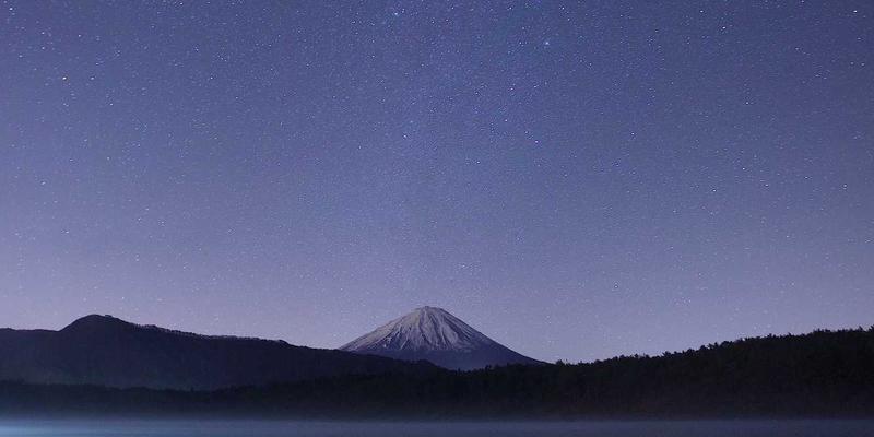 物流供应链数字化转型：使用TXL从单体应用到微服务架构的迁移策略