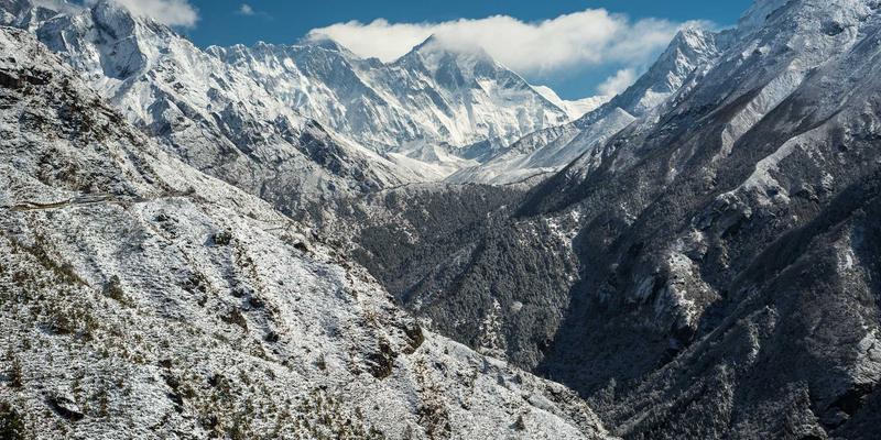 解析器生成器如何优化物流系统：TXL与ANTLR集成策略实现快递高效处理
